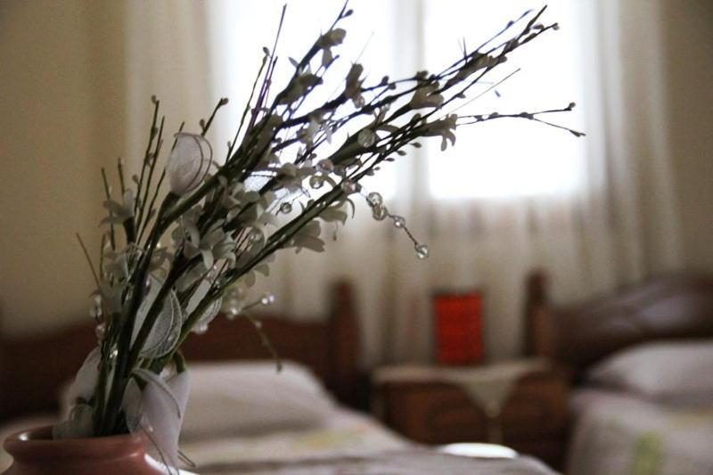 Apartament Stis Kyra - Vasilikis Janina Zewnętrze zdjęcie